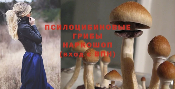 MESCALINE Инсар