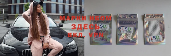 дмт Каменногорск