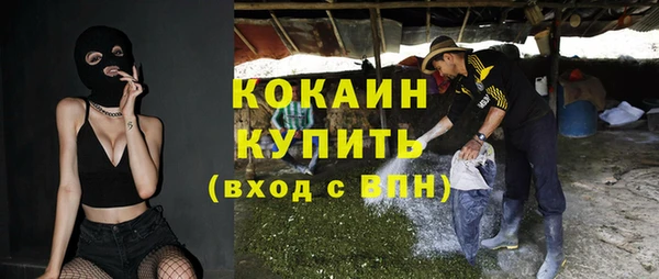 дмт Каменногорск